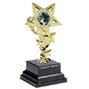 Gold Star Trophy H022G thumbnail